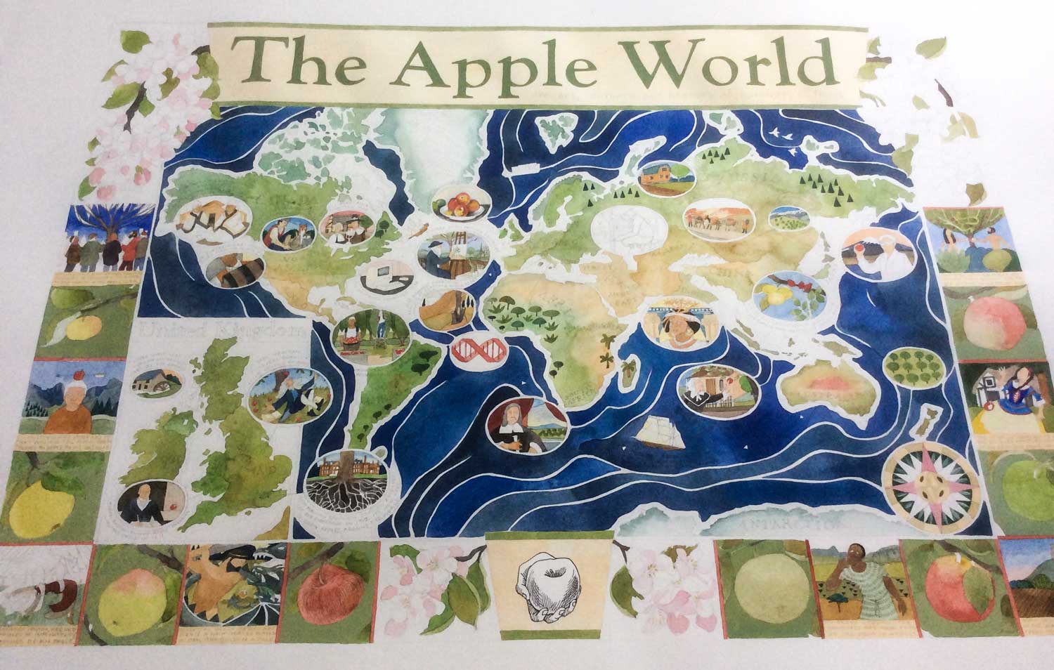 Apple World Map Part Drawn