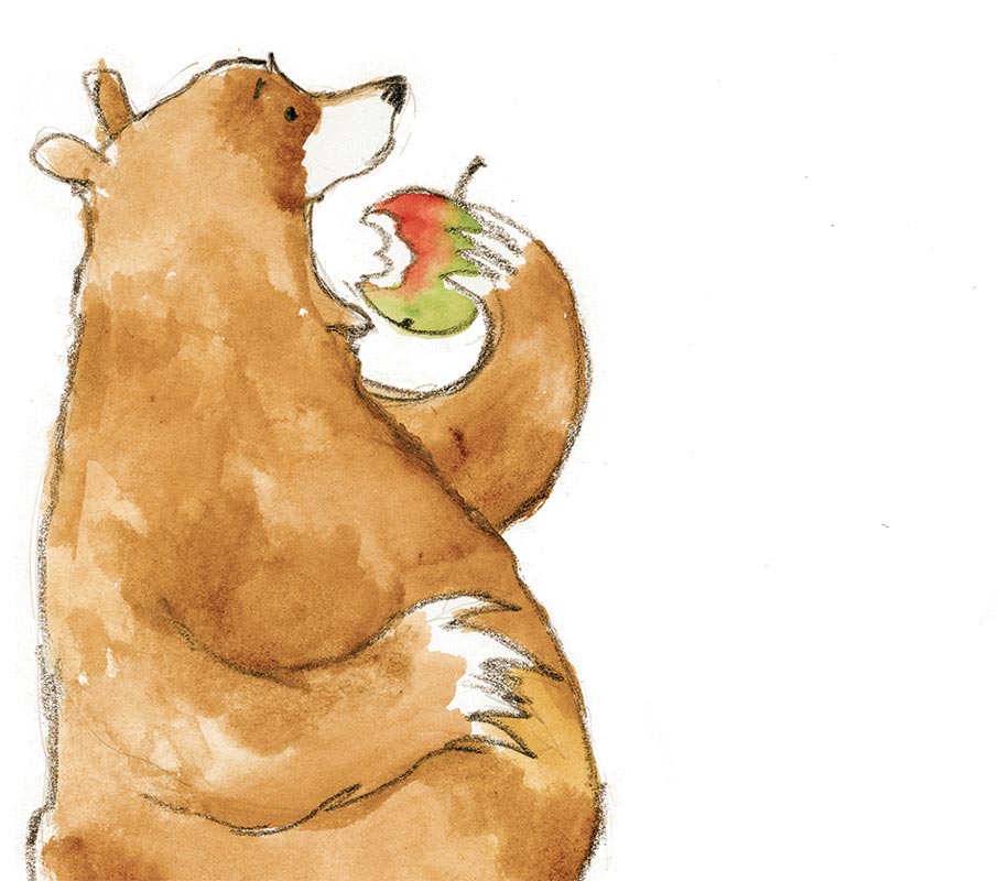 Illustration from Orange Pear Apple Bear copyright © Emily Gravett 2006