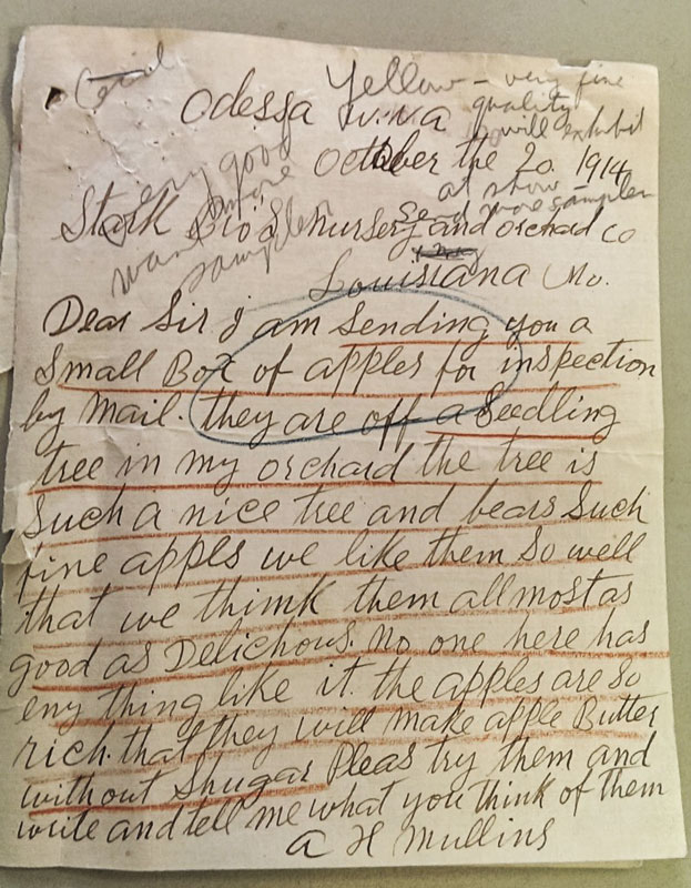 AH Mullins letter to Stark Bro’s 1914 © Stark Bro’s Nurseries & Orchards Co.