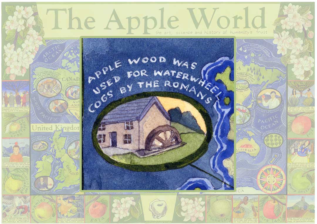 Apple World Map