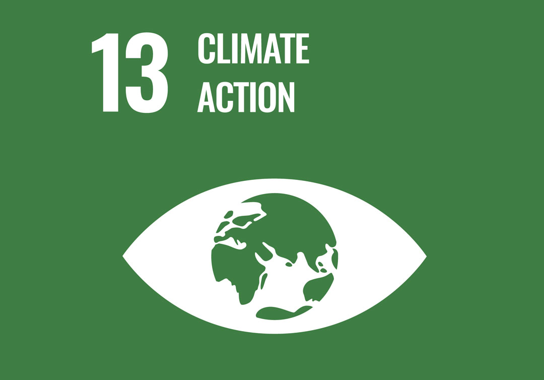 Sustainable Development Goal 13 Climate Action
