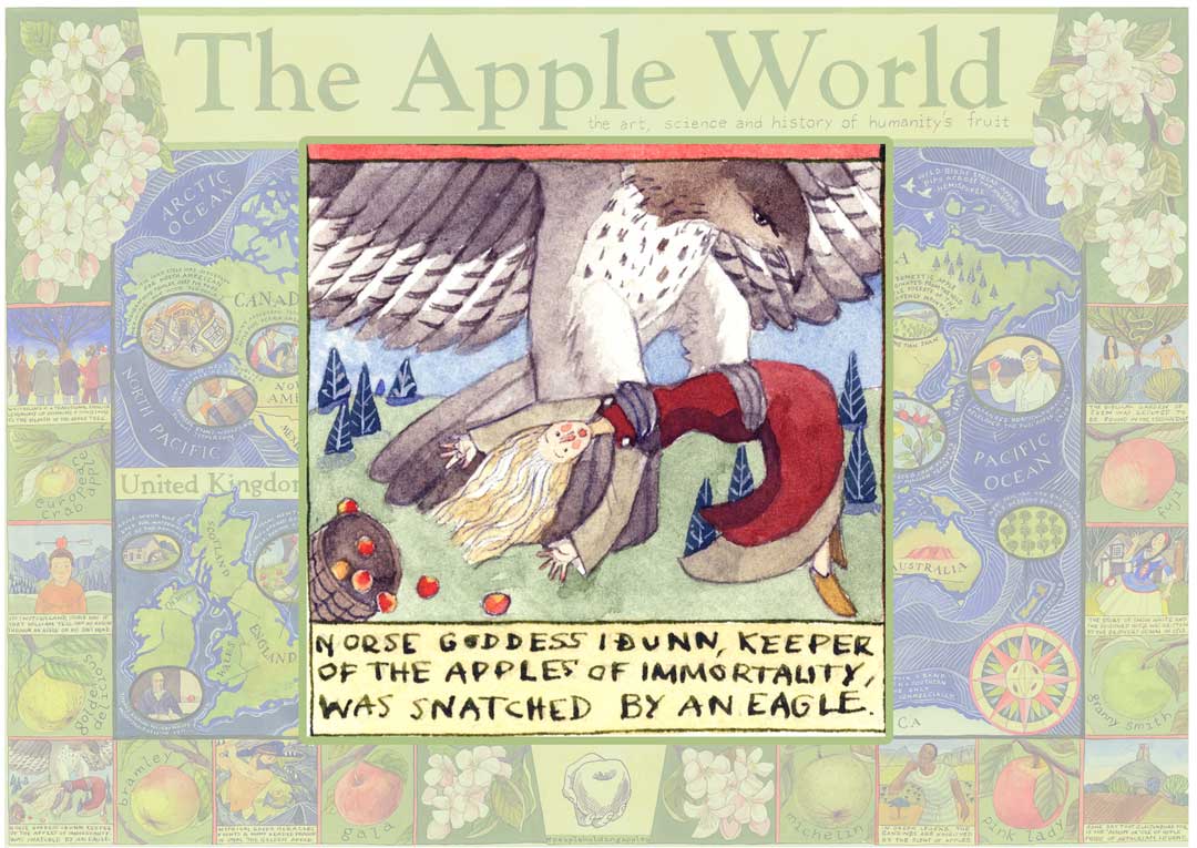 The Norse Apple Story - Idun’s apples kept the gods young