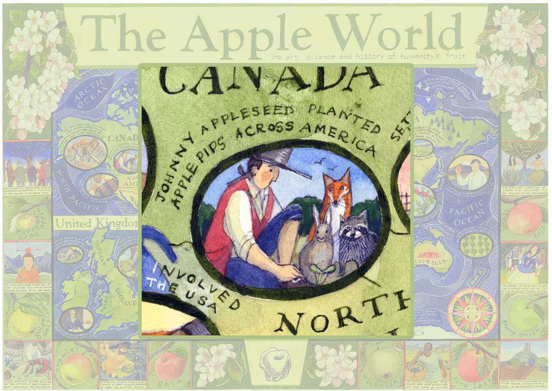 John Chapman planted apple tree nurseries to supply American pioneers