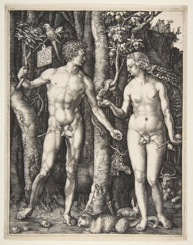 Albrecht Durer - Adam and Eve 1504 Engraving Courtesy of THE MET New York USA