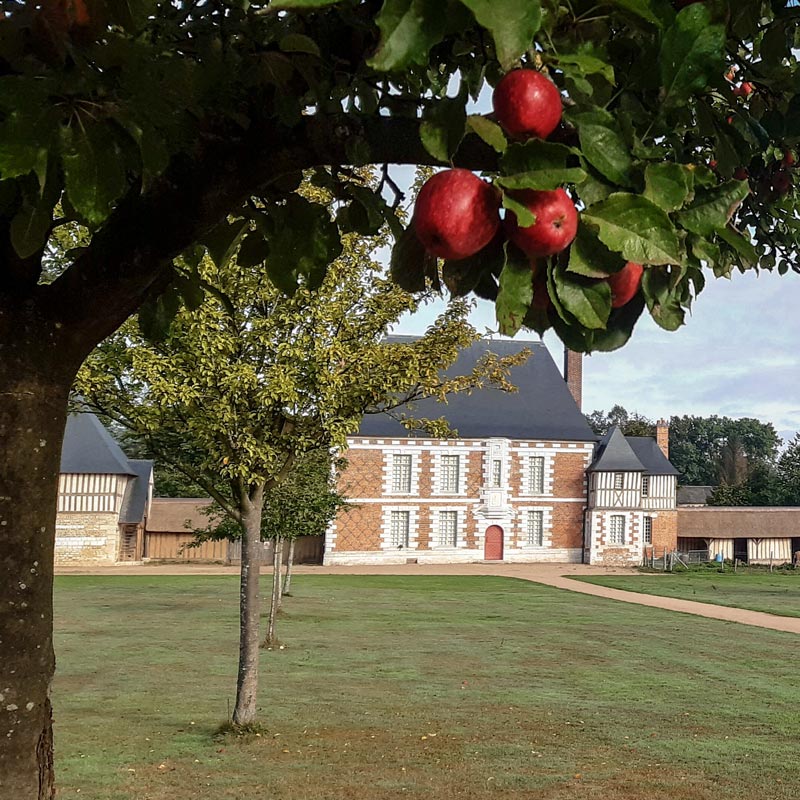 Cider apple trees at the Manor of Fay © Pascal Levaillant 2022