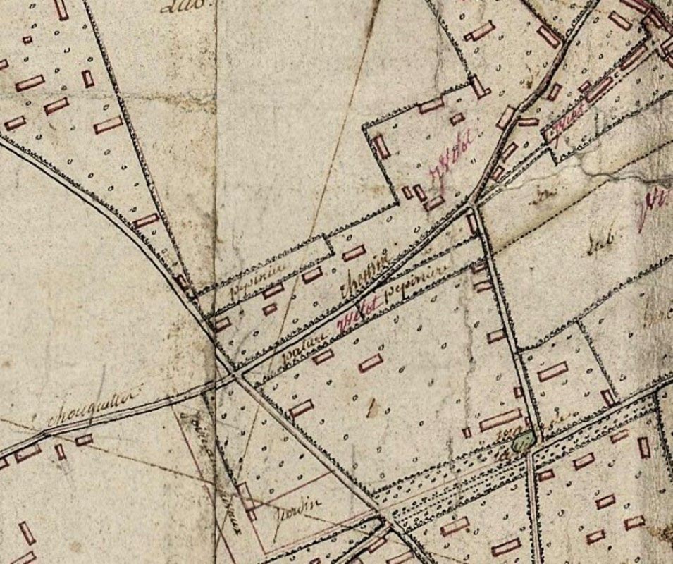Legrand Nurseries on route de Doudeville, Yvetot. Extract from the geometric plan, ADSM 76, Cote : 3P3_3602 Date : June 1807, Type of cadastre : Napoleonic, Observation : 1/5000, Former town: Yvetot