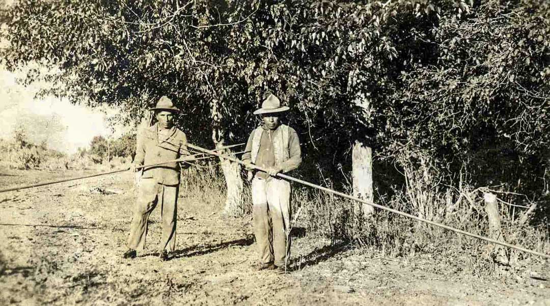 Two men, likely bracero pickers, in an orchard c1920 Samuel A Ford Photograph Collection © Wenatchee Valley Museum and Cultural Center