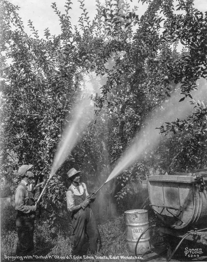 Spraying Ortho K Oil on J. T. Cole Eden Tracts, East Wenatchee. Simmer Studio © Wenatchee Valley Museum and Cultural Center
