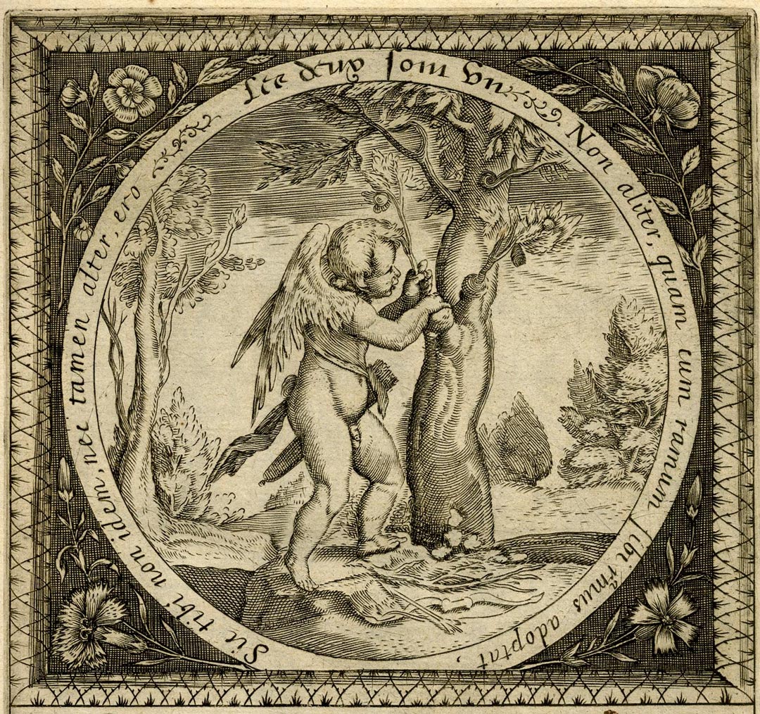 After Jacques de Gheyn - 'Les deux sont un' from Théâtre d'amour Plate 23 (detail) Cupid in the act of grafting c1600 © The Trustees of the British Museum