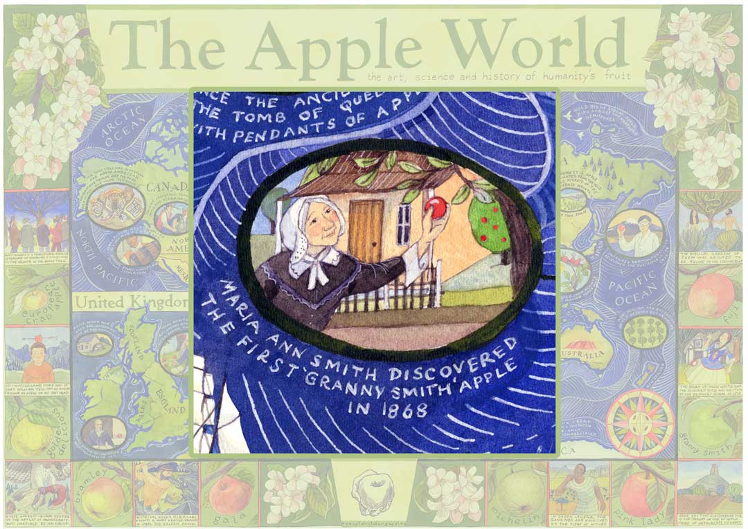 Life with more than one Granny Granny Smith and how her apple made an Australian family