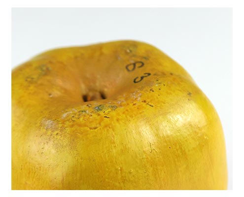Imitation Apples Apples have been modelled for centuries – for education, aesthetic, and sharing.