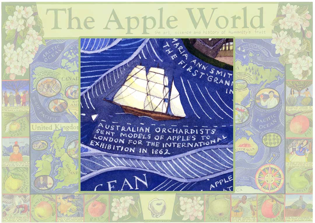Imitation Apples Apples have been modelled for centuries – for education, aesthetic, and sharing